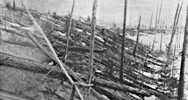 9a-fallen-trees-tunguska-event
