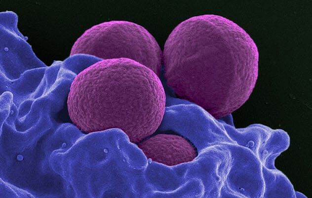 1-mrsa