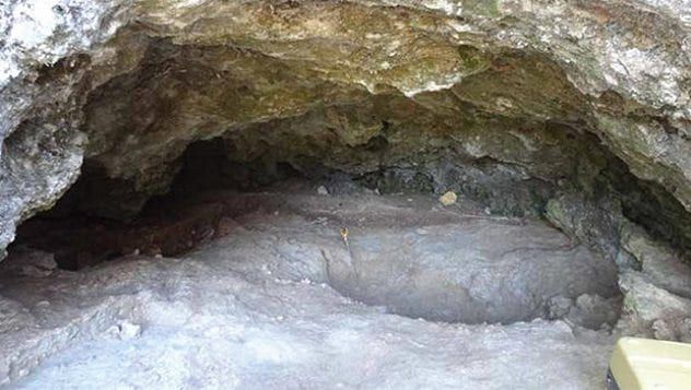 Neanderthal Burial
