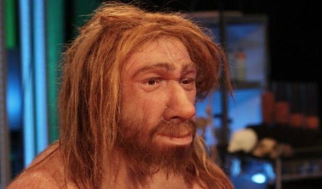 Neanderthal
