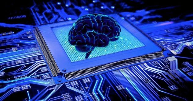 this-is-your-brain-