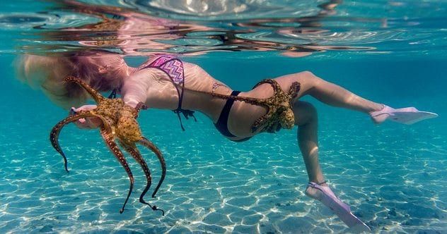 womanoctopus