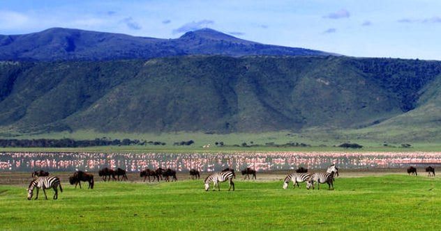 Ngorongoro_Crater View