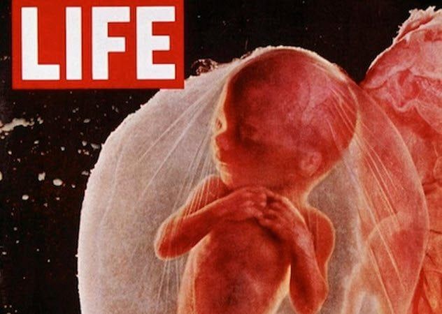 2c-drama-of-life-before-birth