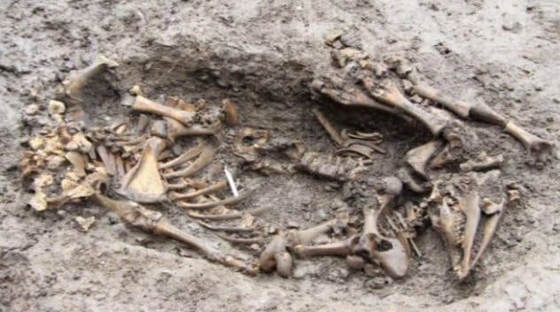 8-shropshire-animal-burial