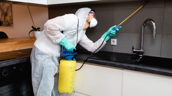 A pest control expert, equipped with protective gear, applying pesticide in a kitchen setting.