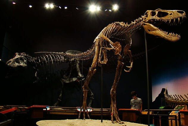 8-jane-dino