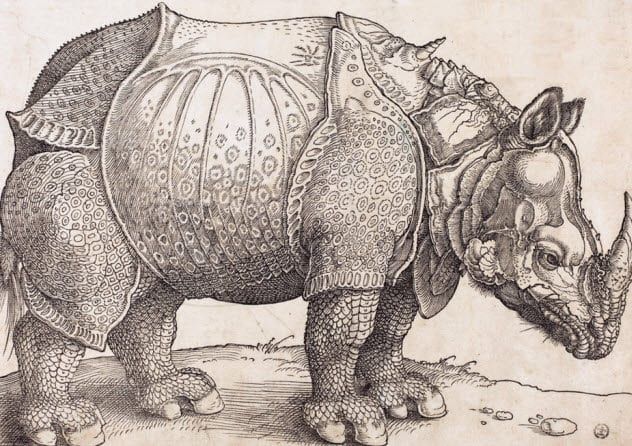 7-rhinoceros-in-armor