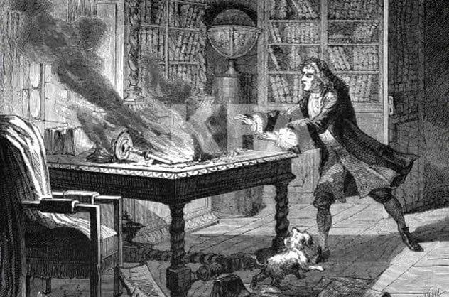 5c-newton-dog-diamond-fire