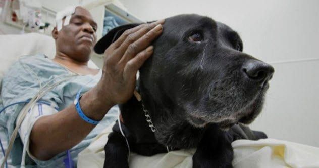 3a-orlando-saved-blind-man