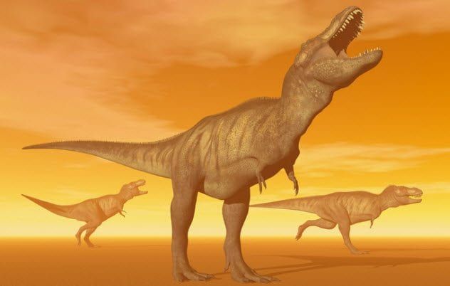 9b-3-t-rexes-453877581