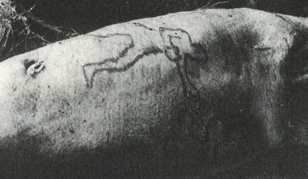 Swallowed By Sharks 8a-tattooed-limb