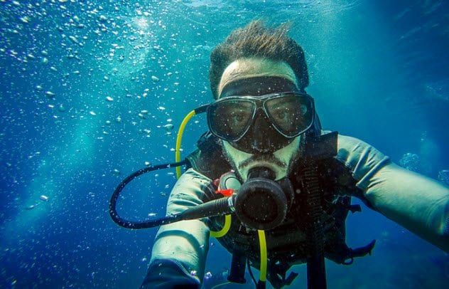 7a-scuba-diver-485572352