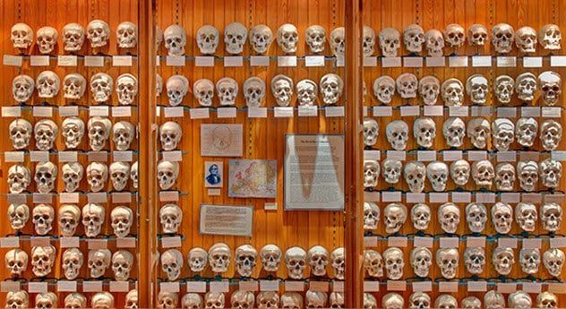 6-mutter-museum