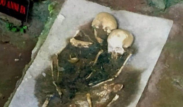 10-paleolithic-braincase