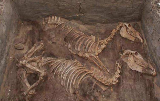 4-donkey-burials