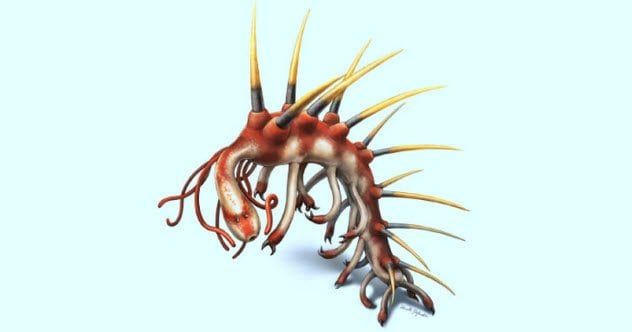 6-hallucigenia