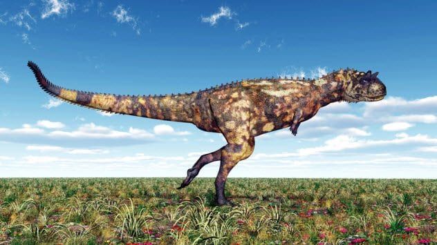5a-carnotaurus_54179980_small