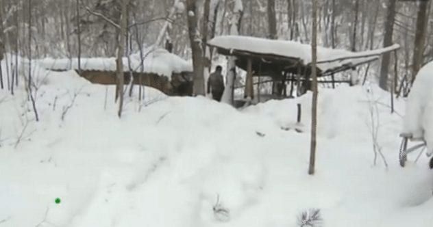 russian-forest-deserter