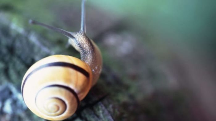 ThinkStock Images