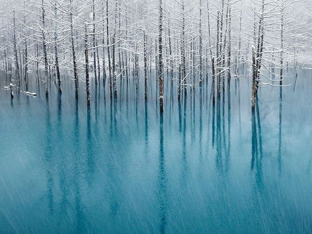 blue-pond-12