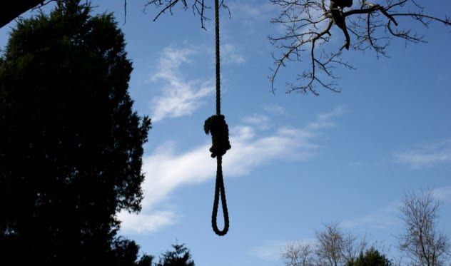 8a-hanging-tree_1970753_SMALL