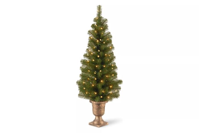 Amazon National Tree Company Pre-lit Artificial Entrance Tree