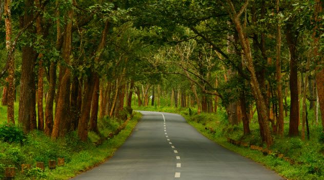 2a-country-highway_79329309_SMALL