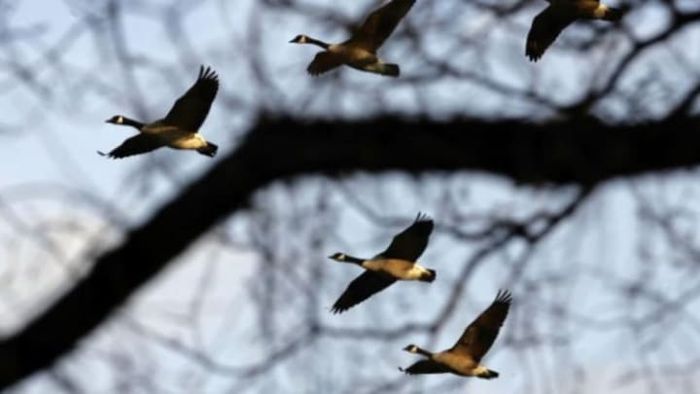 Image Source: Getty Images