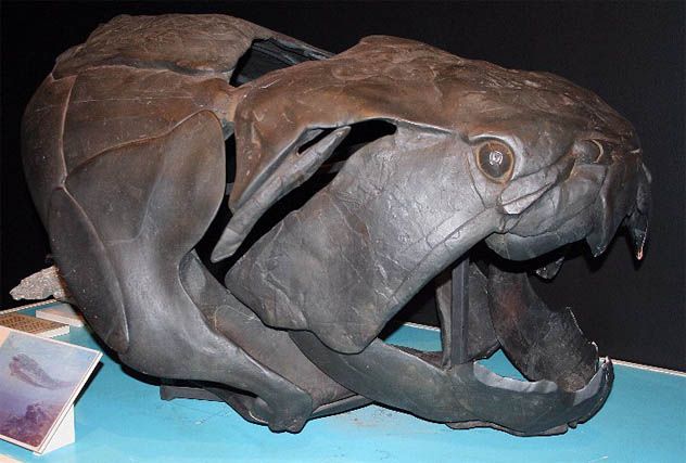 9- Dunkleosteus
