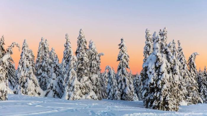 Image credit: SimonSkafar/iStock via Getty Images