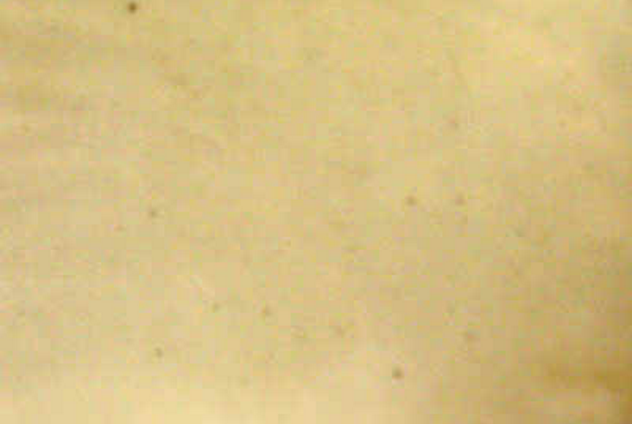 Fogged Kodak Film, an unexpected clue that helped unravel the story of the Trinity nuclear test, revealed key details about the historic event.