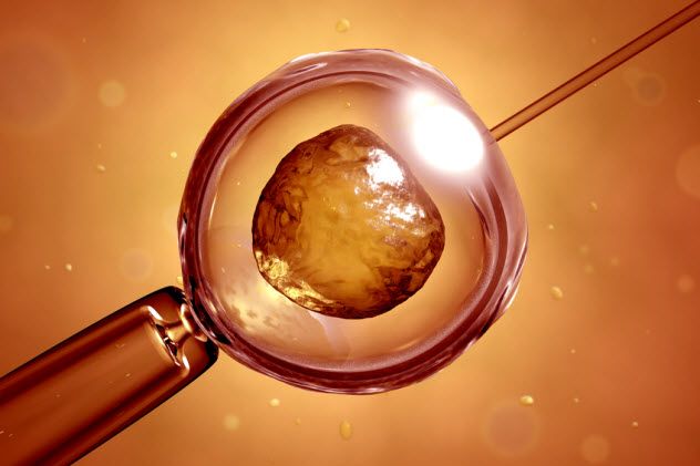 8b-ivf_7170256_SMALL