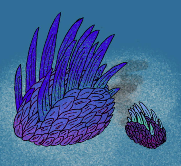 Wiwaxia corrugata