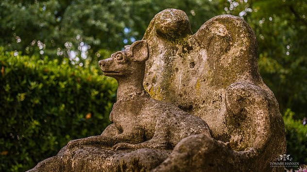 1-dog-cemetery