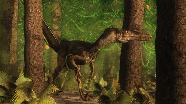 5-velociraptor_73290379_SMALL