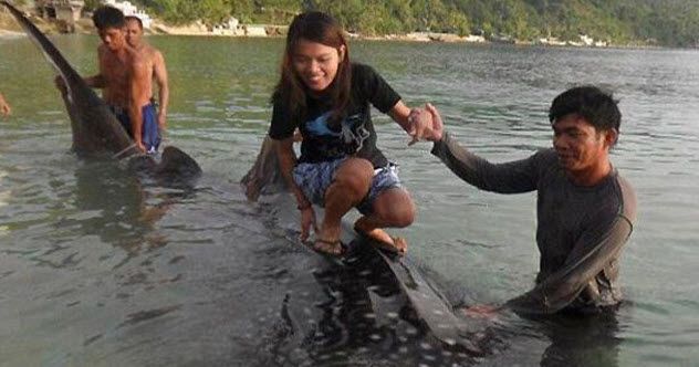 feature-6b-carinn-surfing-whale