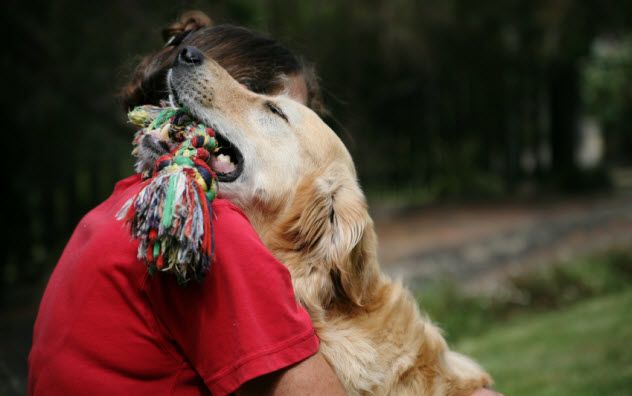 8-dog-hug_000005309842_Small