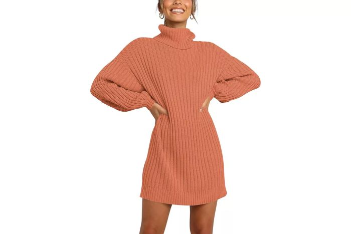 Amazon ANRABESS Oversized Sweater Dress for Women with Turtleneck and Batwing Sleeves