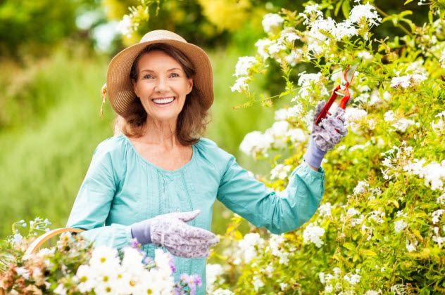 3-green-thumb_000069379817_Small