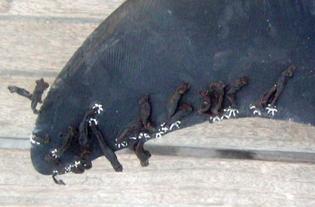 07