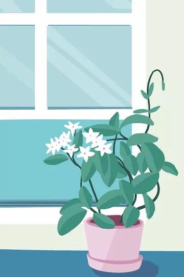 Illustration of a plant placed near an open window