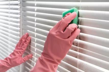 Person dusting blinds