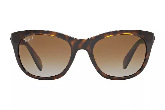 Amazon Ray-Ban RB4216 Square Sunglasses
