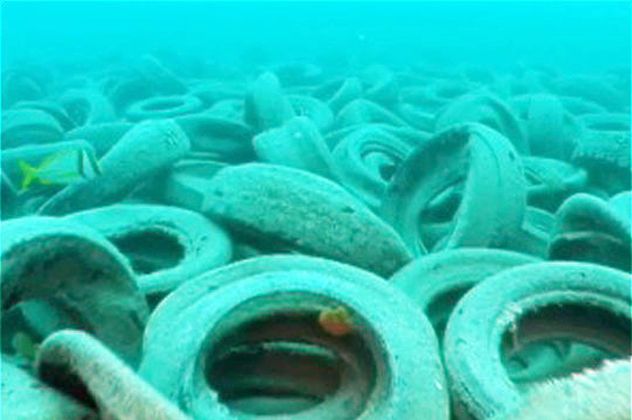 In 1972, the idea of using 700,000 discarded tires off the coast of southern Florida to create an artificial reef seemed promising. The plan was that the stacked tires would attract marine life and provide a foundation for coral. However, the tires disintegrated, harming existing coral reefs and cluttering the ocean floor. The sight of these tire-filled underwater landscapes has left divers stunned for years.