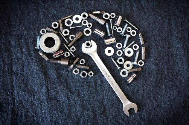 brain of the nuts and tools