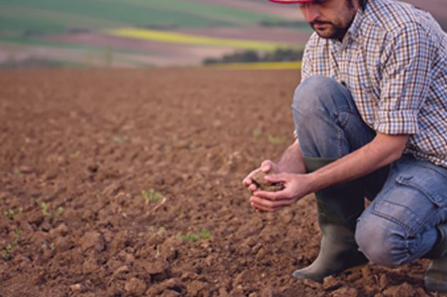 Farmer
