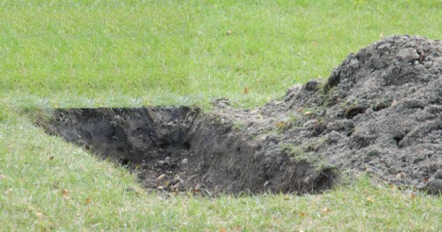 6-shallow-grave_000011011603_Small