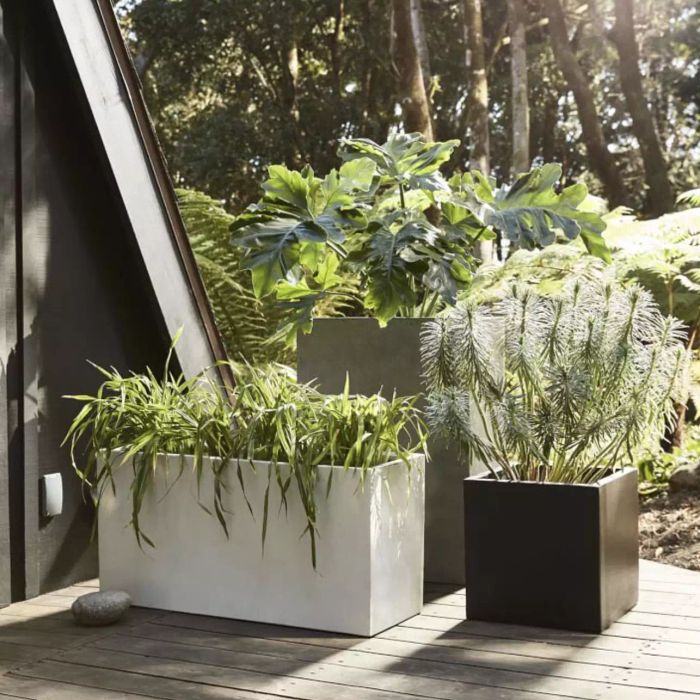 Planters to use as room dividers
