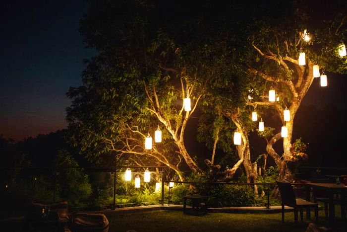Tree Lanterns